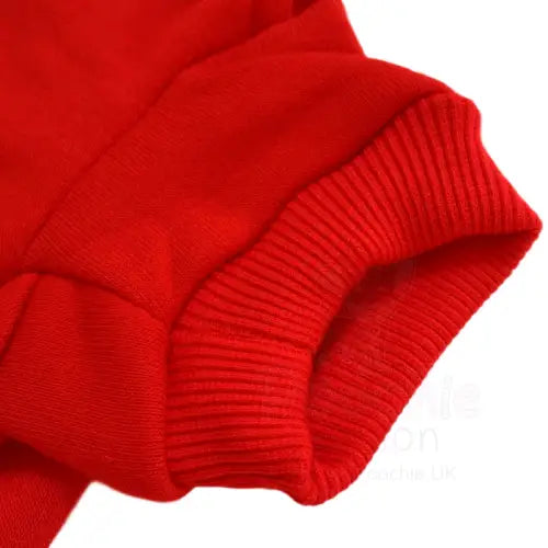 Cosy Fleece Lined Dog Hoodies 10 Colours - Rich Paw - 14