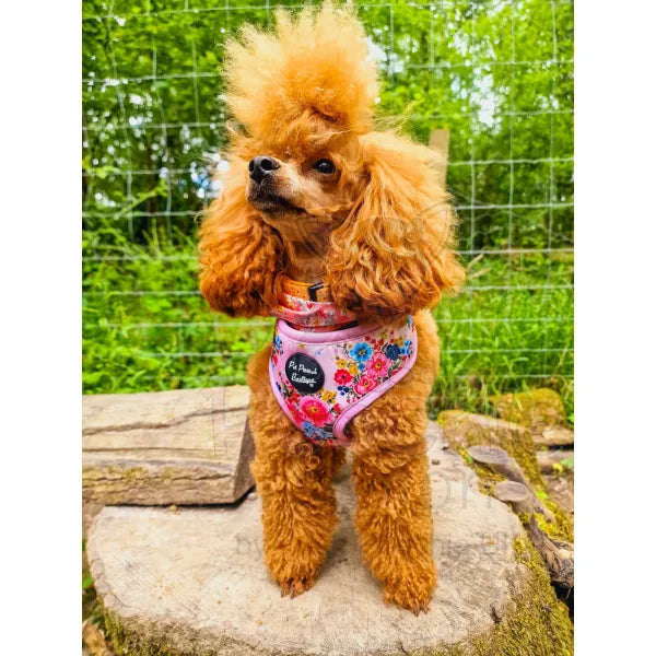 Cottage Floral Dog Harness Pet Pooch 2