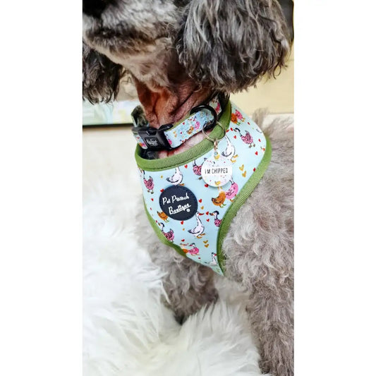 Countryside Ducks Dog Collar - Pet Pooch - 2