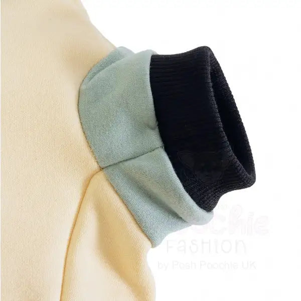 Cream & Sage Green Dog Hoodie - Rich Paw - 4
