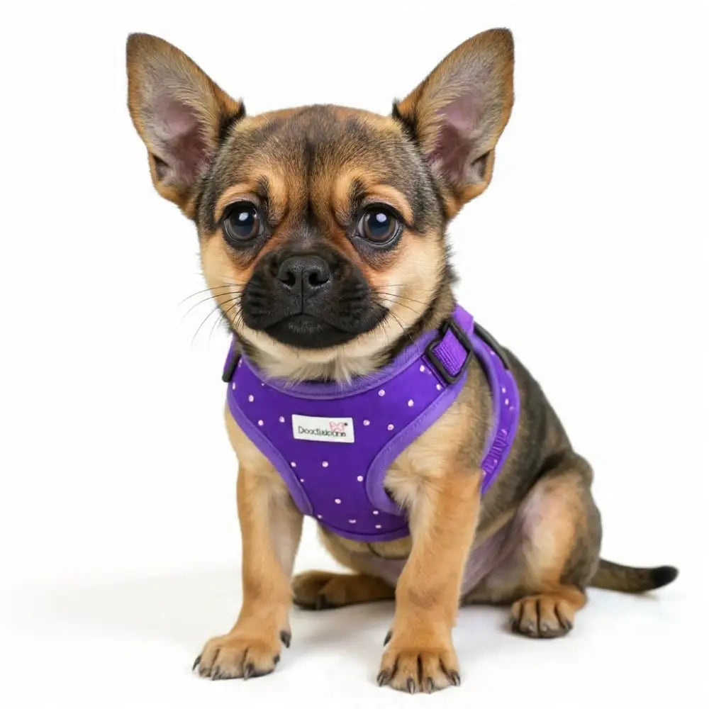 Crystal Air Mesh Dog Harness in Violet Purple - Poochie Fashion - 8