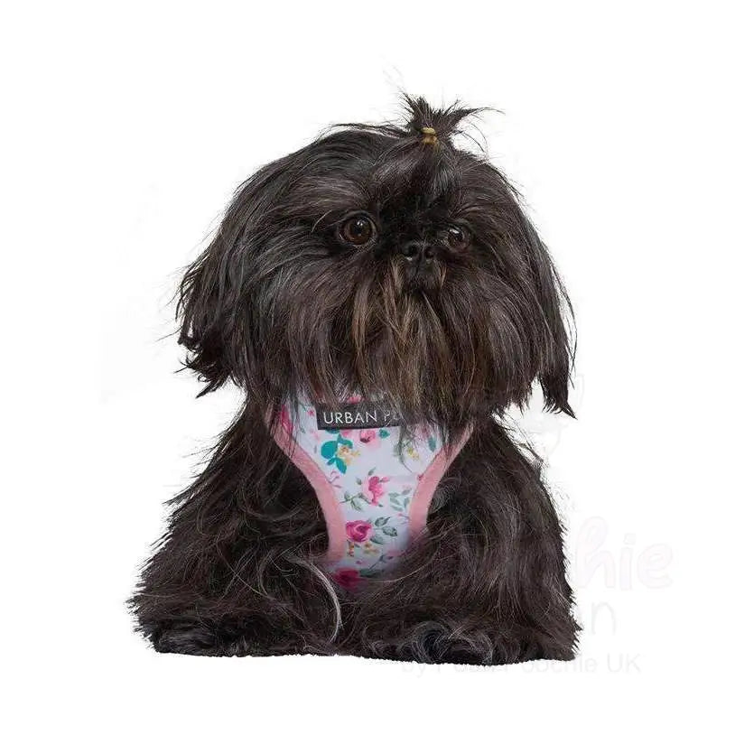 Crystal Floral Cascade Designer Dog Harness Xsmall - Sale - 4