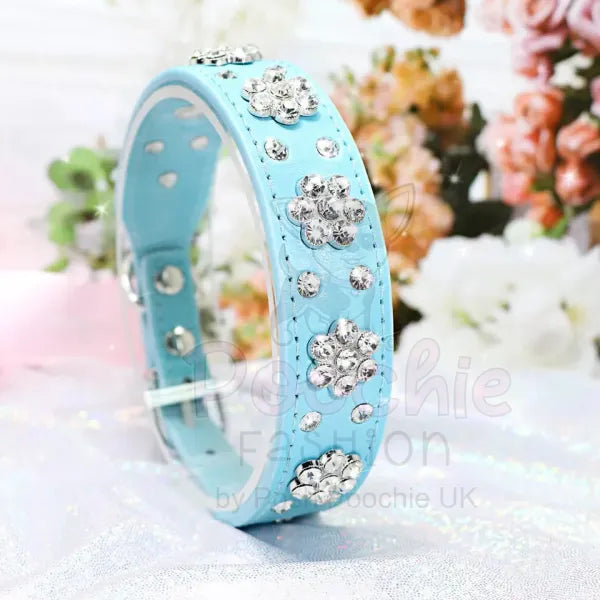 Crystal Flowers Dog Collar in Aqua Blue - Posh Pawz - 2