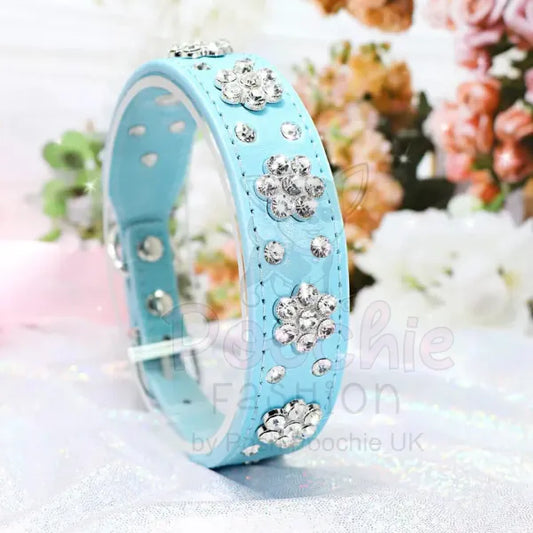 Crystal Flowers Dog Collar in Aqua Blue - Posh Pawz - 2