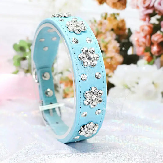 Crystal Flowers Dog Collar in Aqua Blue - Posh Pawz - 2