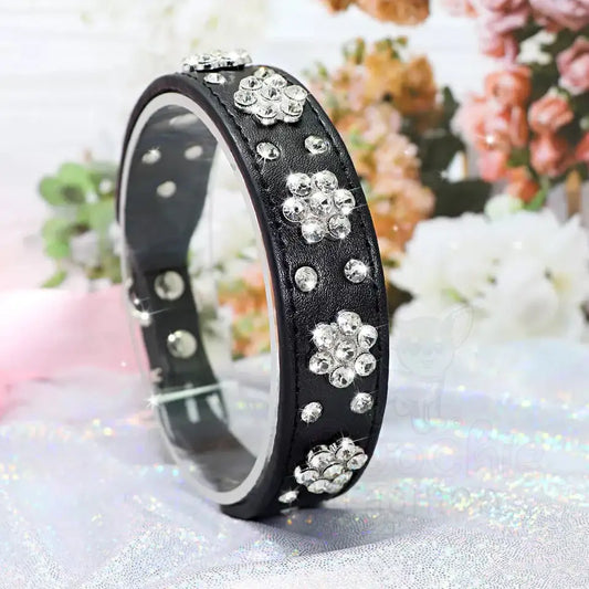 Crystal Flowers Dog Collar in Black - Posh Pawz - 2
