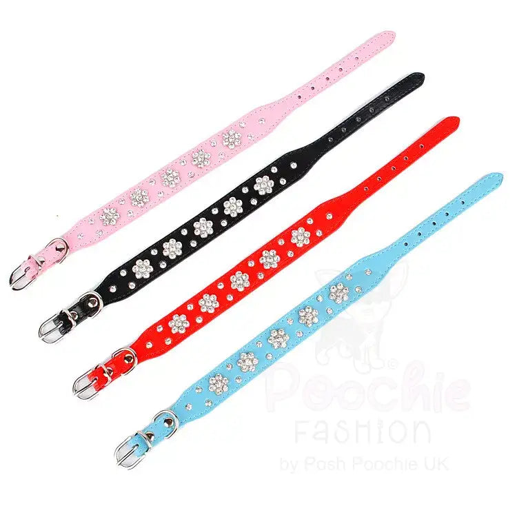 Crystal Flowers Dog Collar in Black - Posh Pawz - 3