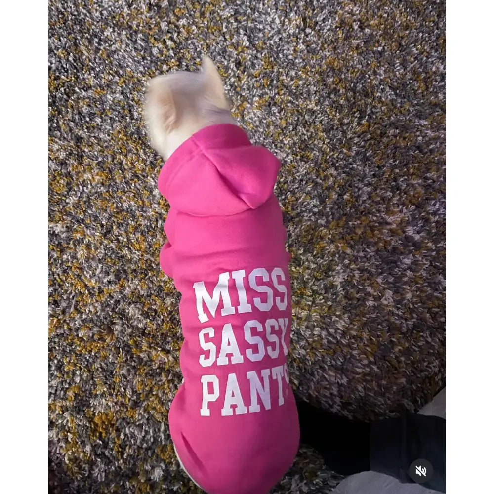Personalised Dog Hoodie - Poochie Fashion - 12