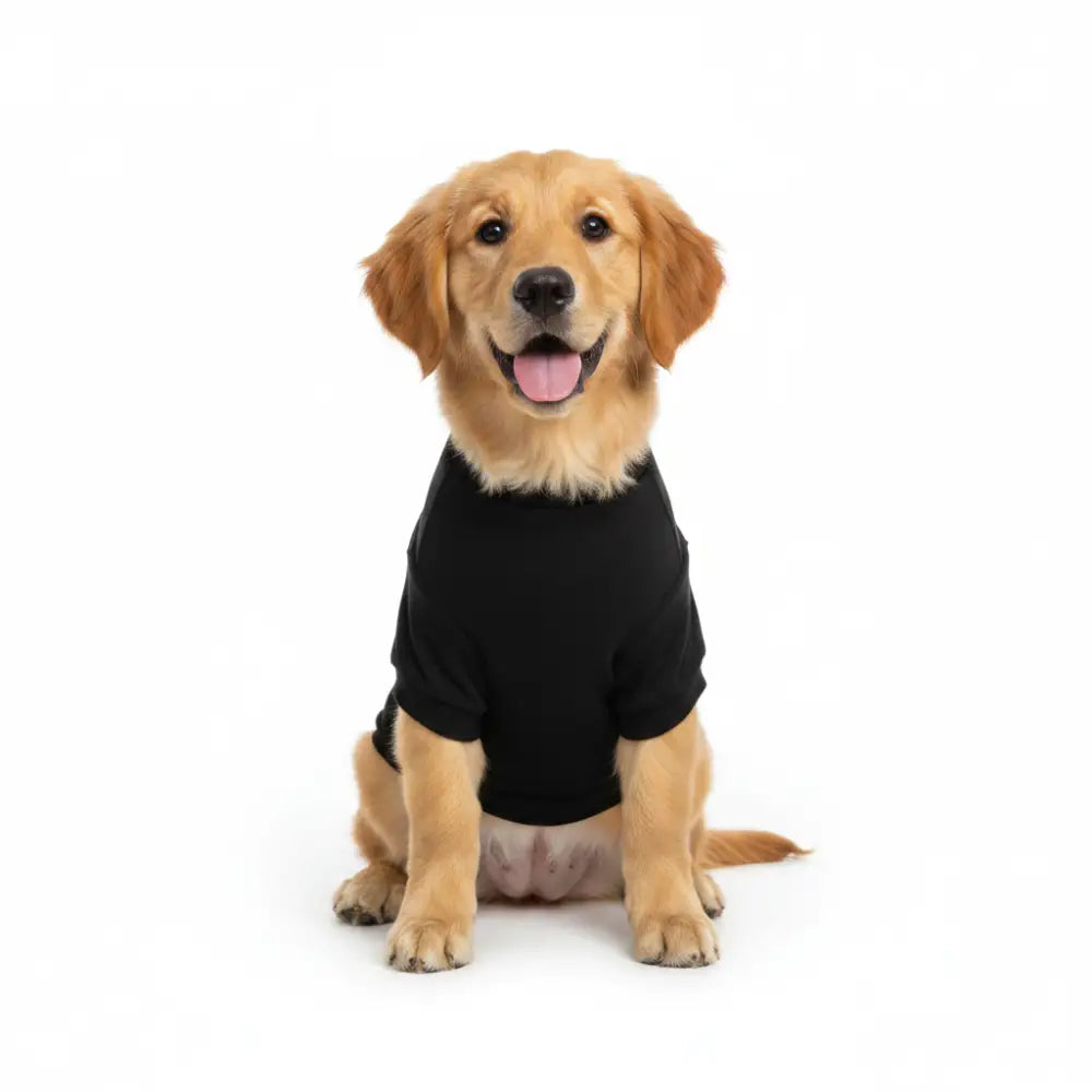 Diva Dog T-shirt - Poochie Fashion - 4