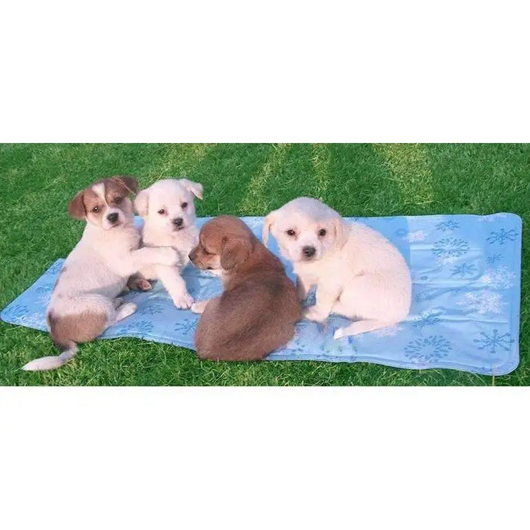 Dog Cooling Mat - Posh Pawz - 5