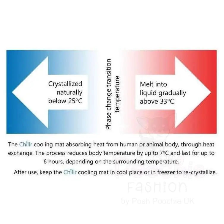 Dog Cooling Mat - Posh Pawz - 4