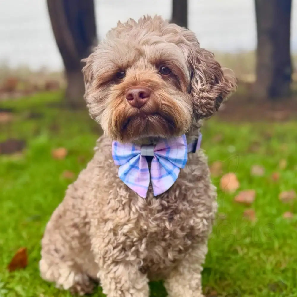 Pink Tartan Dog Sailor Bow - Pupclub Couture - 2