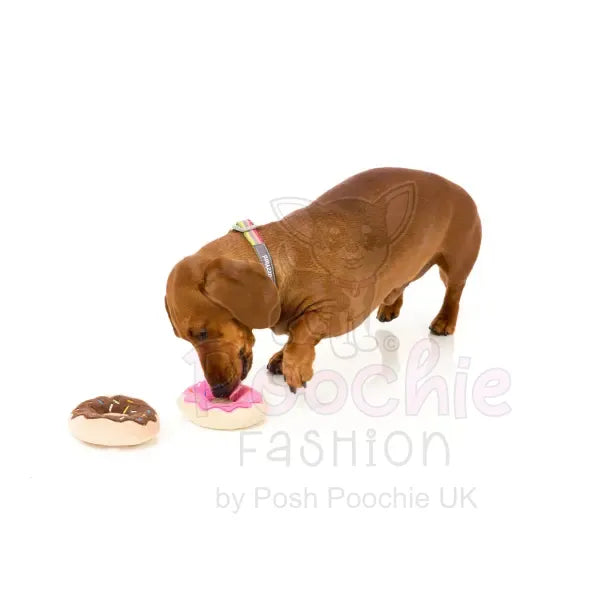 Donuts Dog Toy by Fuzzyard 2 Pack - Fuzzyard - 3