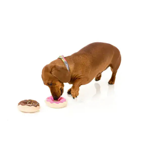 Donuts Dog Toy by Fuzzyard 2 Pack - Fuzzyard - 3