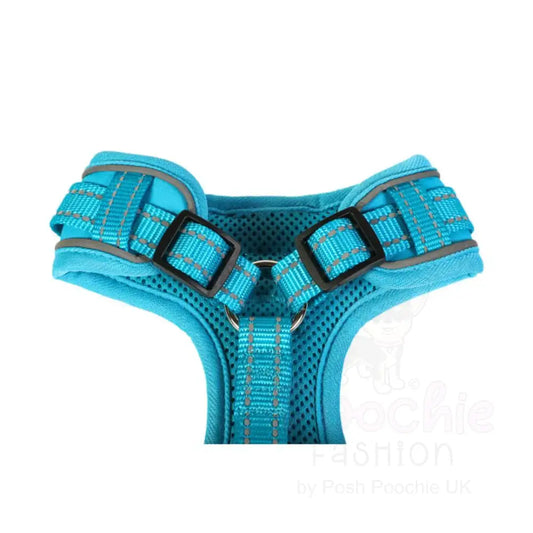 Doodlebone Adjustable Airmesh Dog Harness - Aqua Blue - Doodlebone - 2