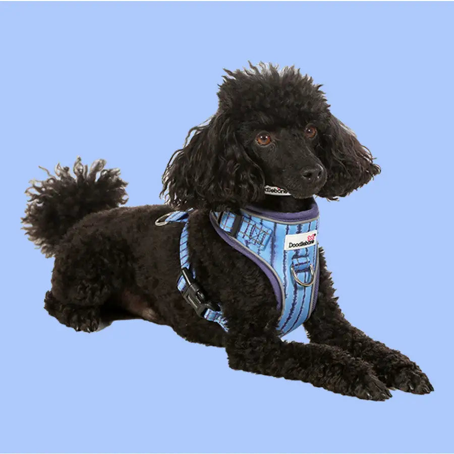 Doodlebone Adjustable Airmesh Dog Harness - Aurora - Doodle - 5