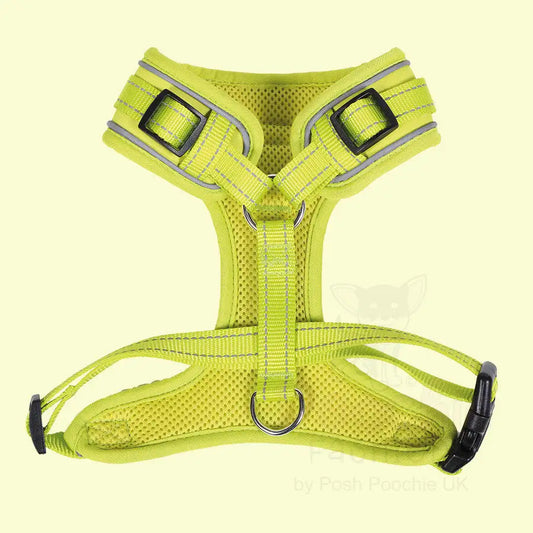 Doodlebone Adjustable Airmesh Dog Harness - Citrus - Doodle - 2