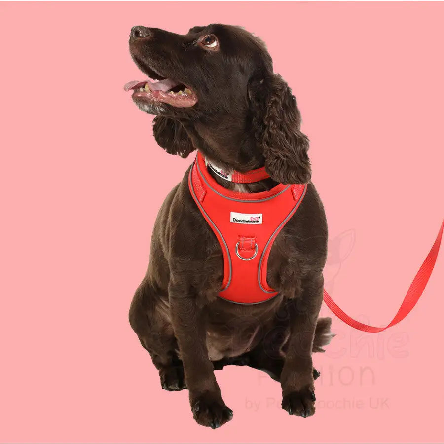 Doodlebone Adjustable Airmesh Dog Harness - Coral - Doodle - 5