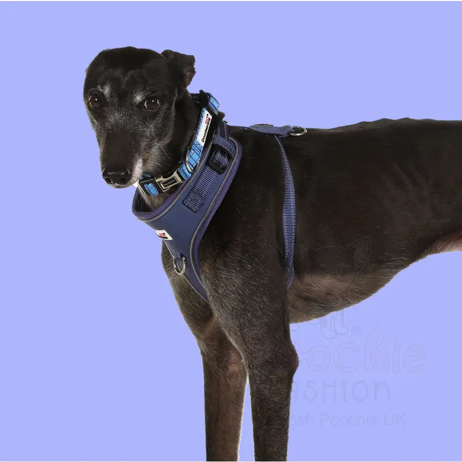 Doodlebone Adjustable Airmesh Dog Harness - Indigo - Doodle - 5