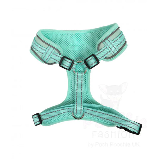 Doodlebone Adjustable Airmesh Dog Harness - Mint - Doodle - 2