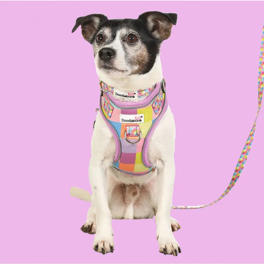 Doodlebone Adjustable Airmesh Dog Harness - Retro - Doodle - 5