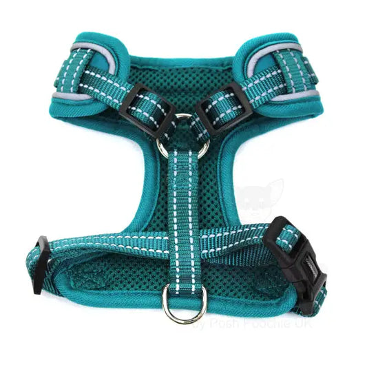Doodlebone Adjustable Airmesh Dog Harness - Teal - Doodle - 2