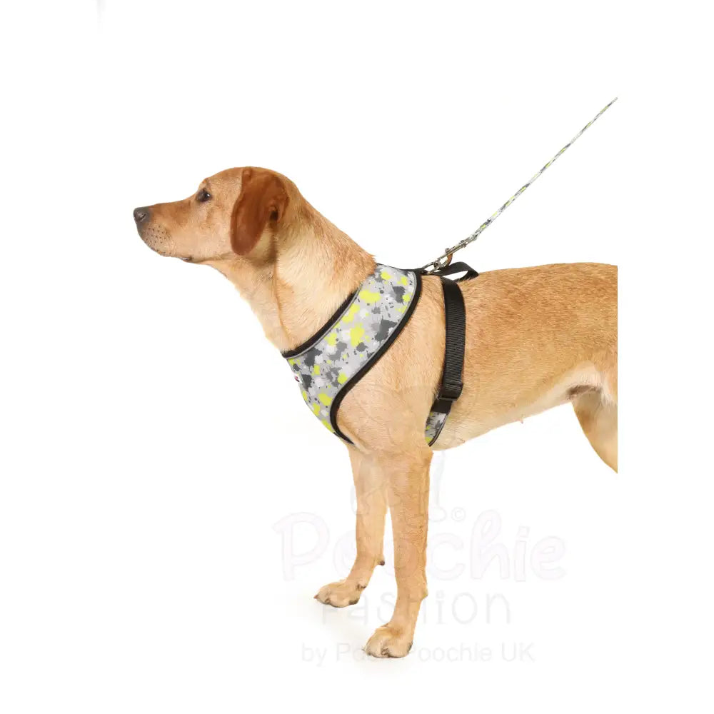 Doodlebone Airmesh Dog Harness - Neon Paint Splat - Doodlebone - 6