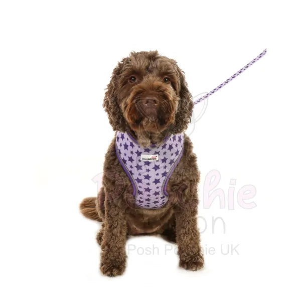 Doodlebone Airmesh Dog Harness - Violet Stars - Doodlebone - 4