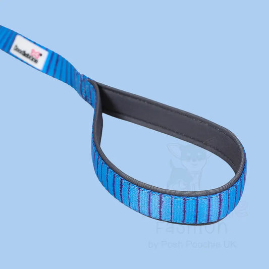 Doodlebone Brights Collection Dog Lead - Aurora - Doodle - 2