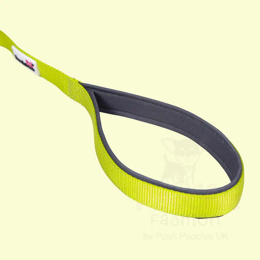 Doodlebone Brights Collection Dog Lead - Citrus - Doodle - 2