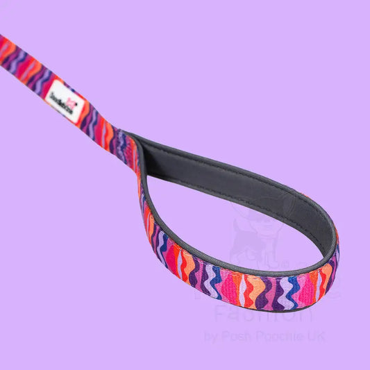 Doodlebone Brights Collection Dog Lead - Dunes - Doodle - 2