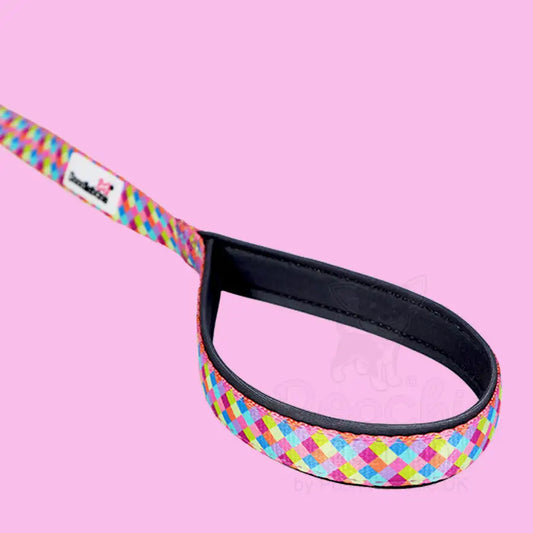 Doodlebone Brights Collection Dog Lead - Retro - Doodle - 2