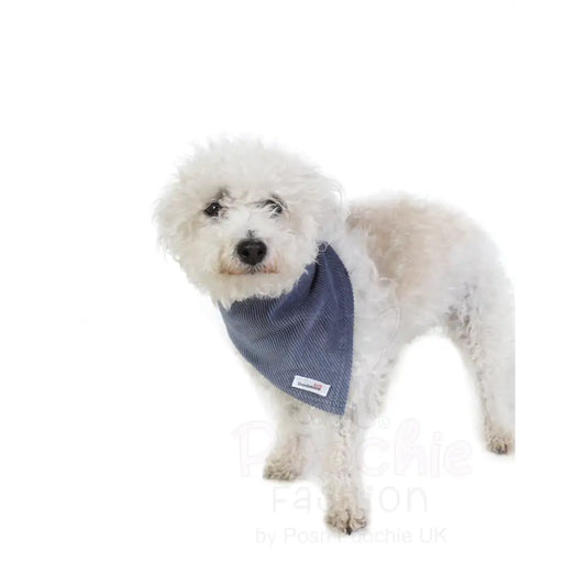Doodlebone Dinky Dog Bandana Blue Cord - Doodlebone - 2