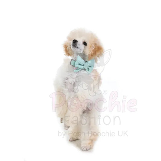 Doodlebone Dinky Dog Bow Tie Mint Quilt - Doodlebone - 2