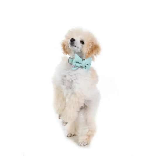 Doodlebone Dinky Dog Bow Tie Mint Quilt - Doodlebone - 2