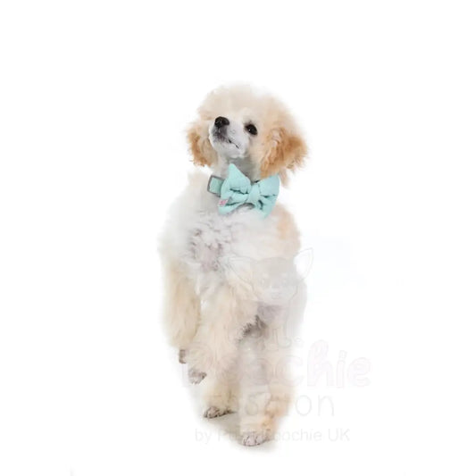 Doodlebone Dinky Dog Bow Tie Mint Quilt - Doodlebone - 2