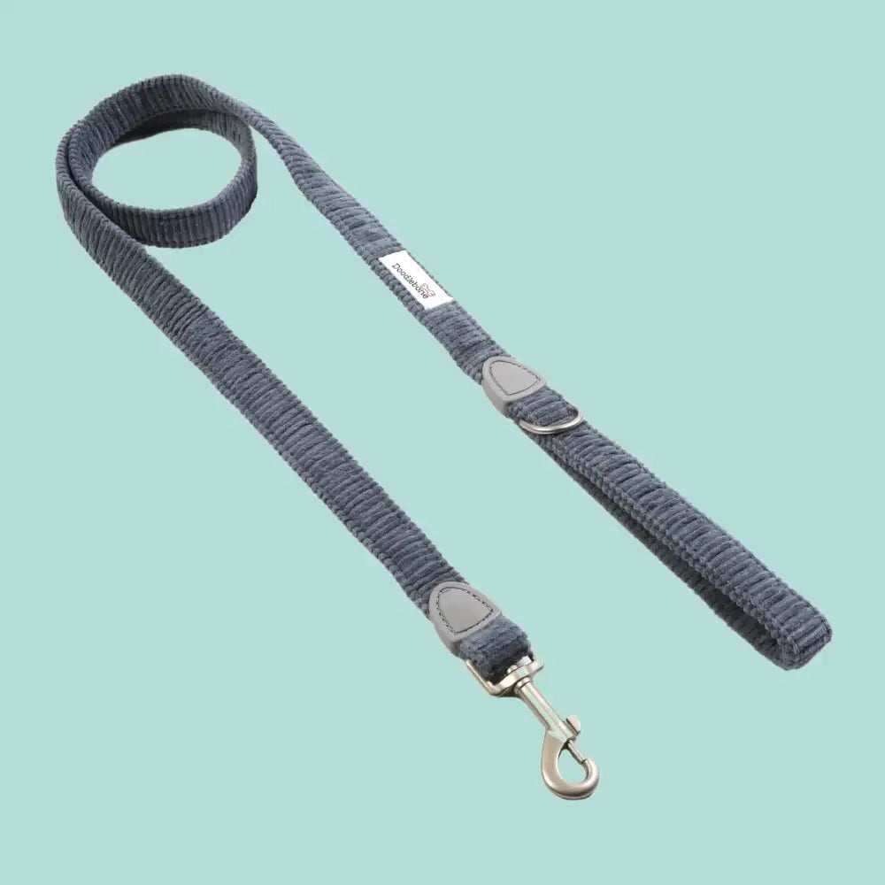 Doodlebone Dinky Dog Lead Blue Cord - Doodlebone - 5