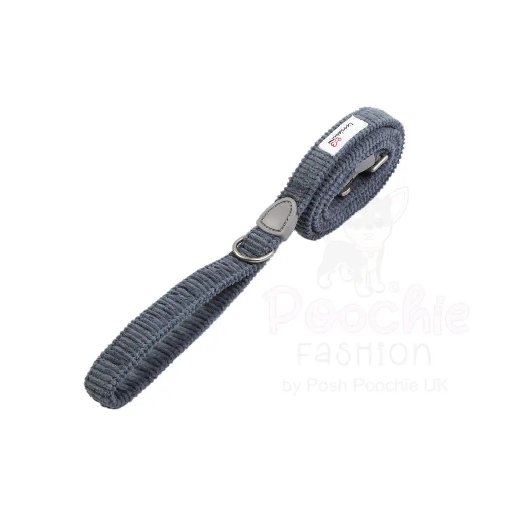 Doodlebone Dinky Dog Lead Blue Cord - Doodlebone - 4