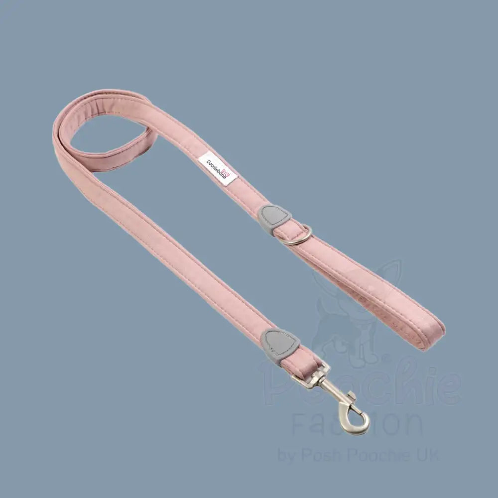 Doodlebone Dinky Dog Lead Chalky Pink - Doodlebone - 4