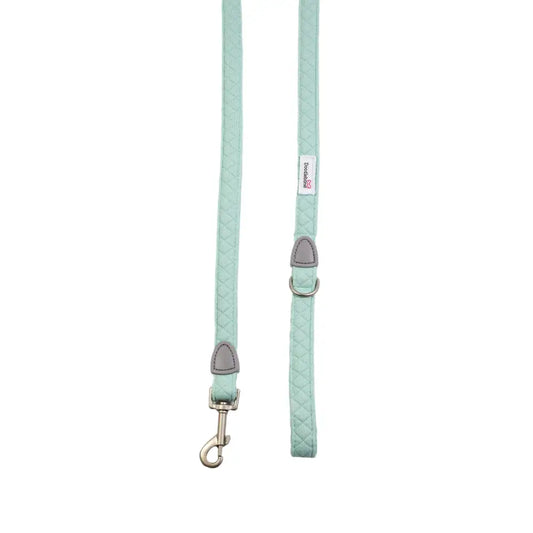 Doodlebone Dinky Dog Lead Mint Quilt - Doodlebone - 2