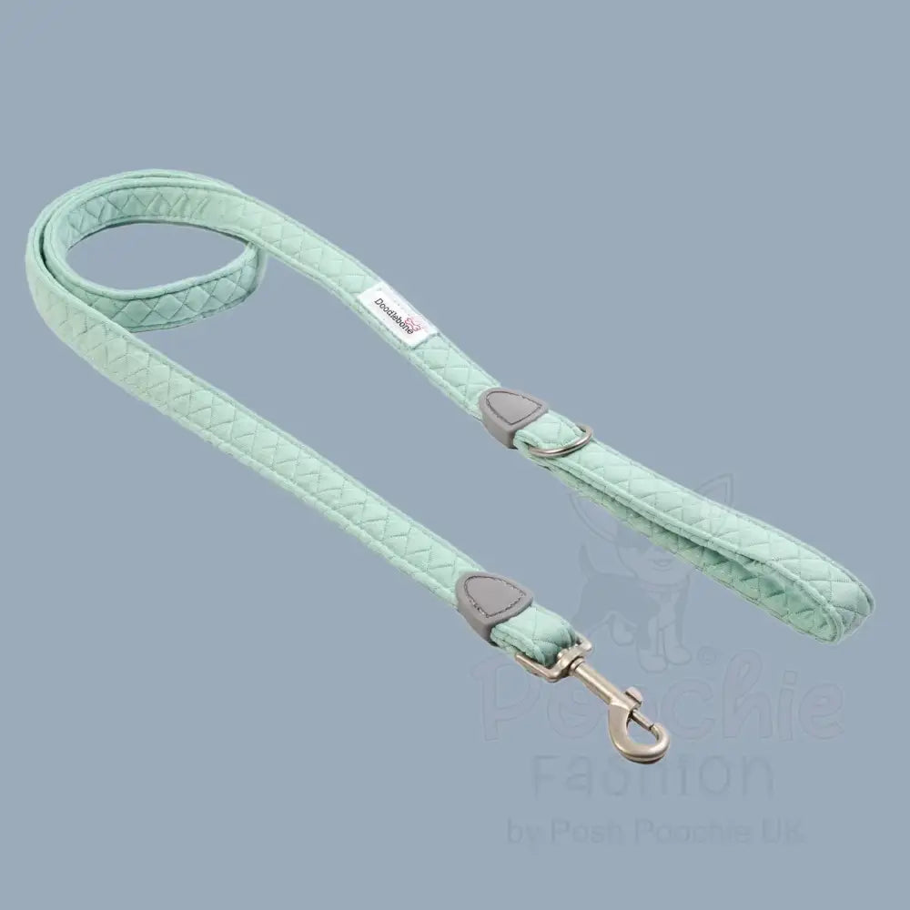 Doodlebone Dinky Dog Lead Mint Quilt - Doodlebone - 4