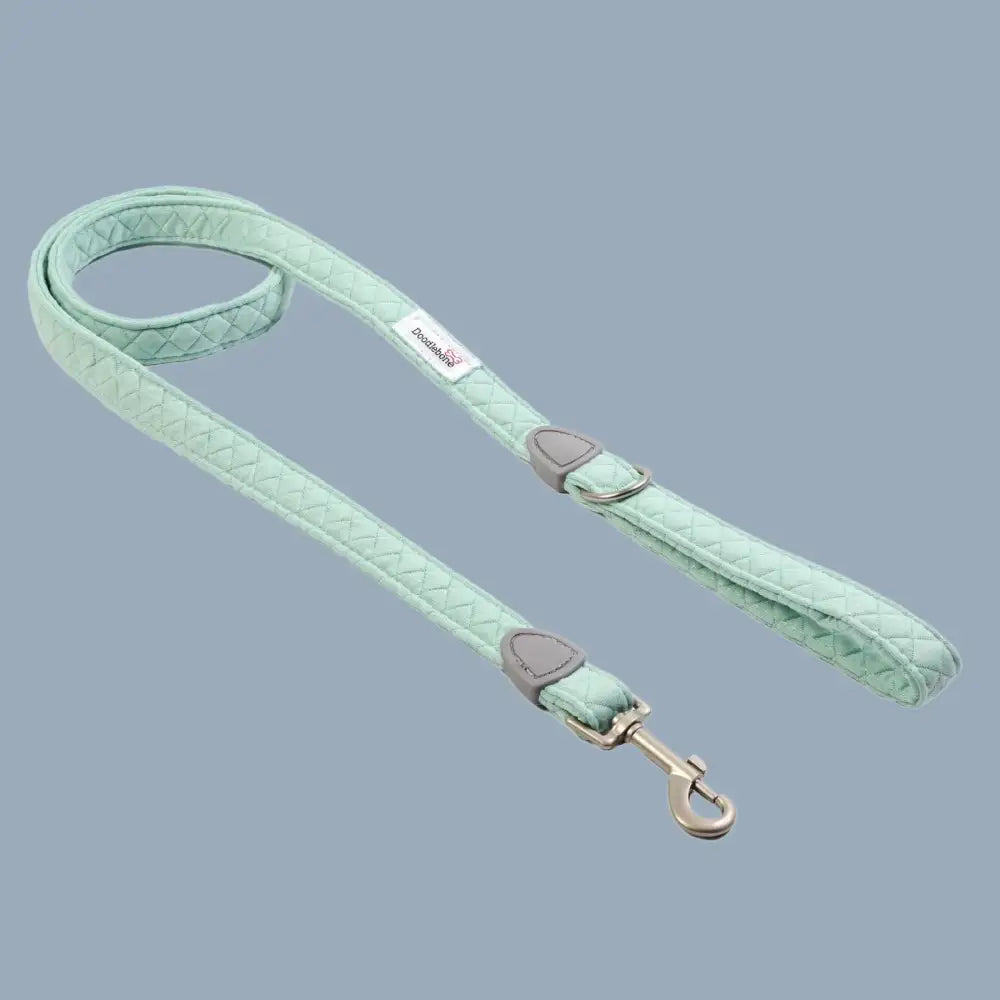 Doodlebone Dinky Dog Lead Mint Quilt - Doodlebone - 4