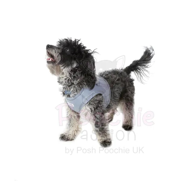 Doodlebone Dinky Dog Snappy Harness Chalky Blue - Doodlebone - 8