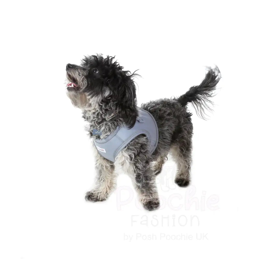 Doodlebone Dinky Dog Snappy Harness Chalky Blue - Doodlebone - 8