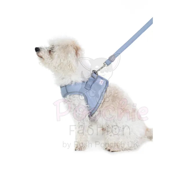 Doodlebone Dinky Dog Snappy Harness Chalky Blue - Doodlebone - 7