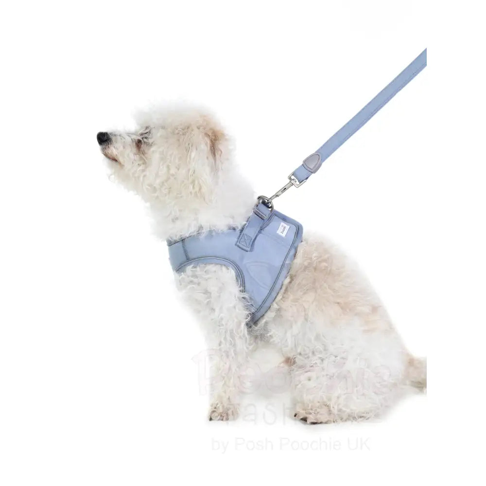 Doodlebone Dinky Dog Snappy Harness Chalky Blue - Doodlebone - 7