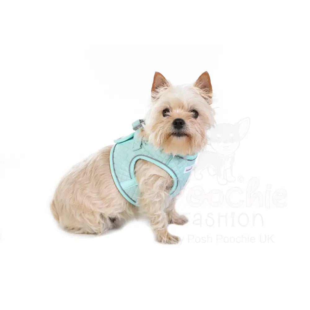 Doodlebone Dinky Dog Snappy Harness Mint Quilt - Doodlebone - 8