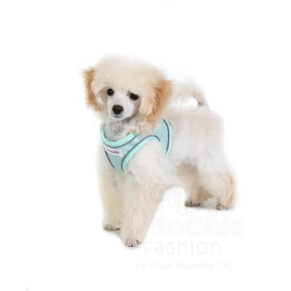 Doodlebone Dinky Dog Snappy Harness Mint Quilt - Doodlebone - 10