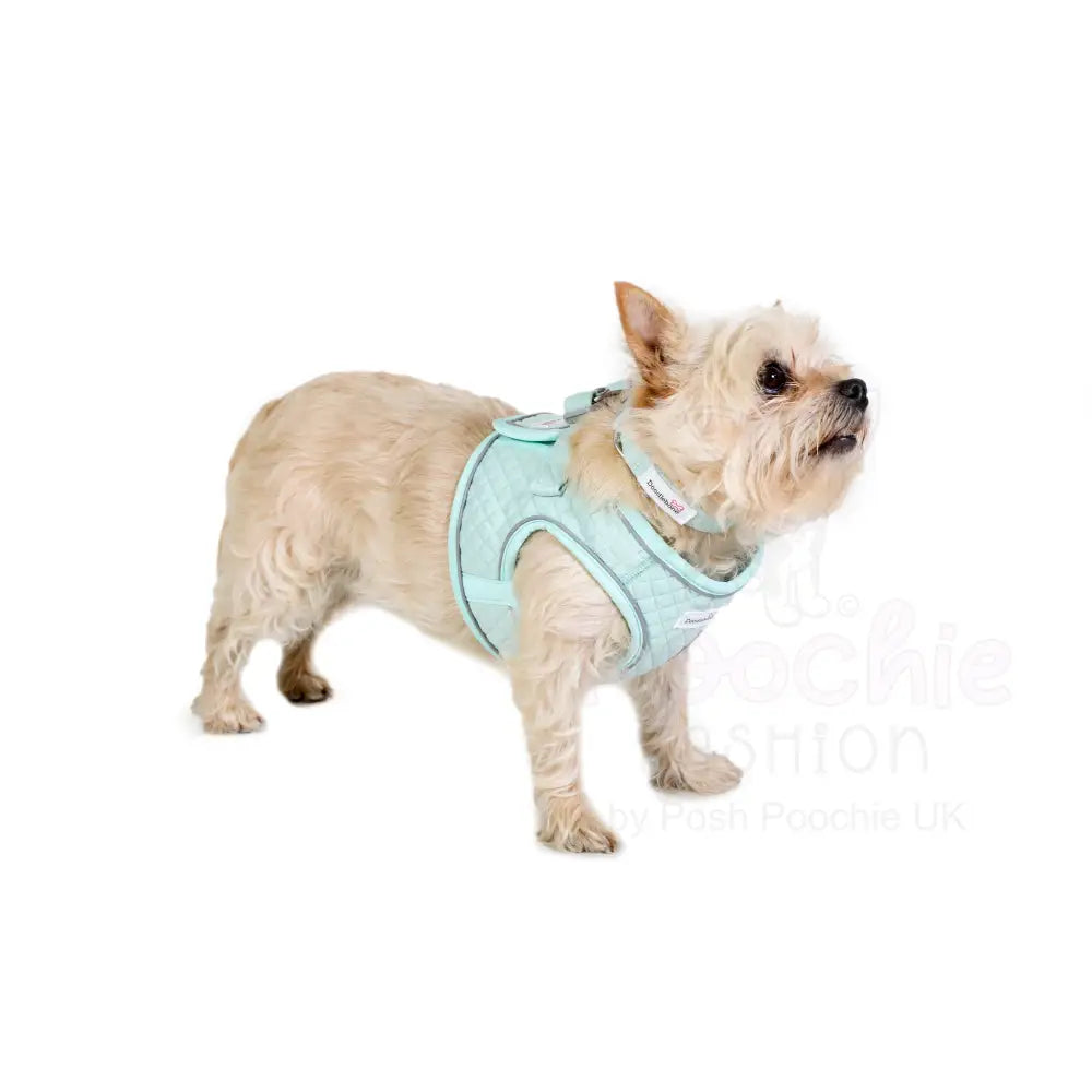 Doodlebone Dinky Dog Snappy Harness Mint Quilt - Doodlebone - 3