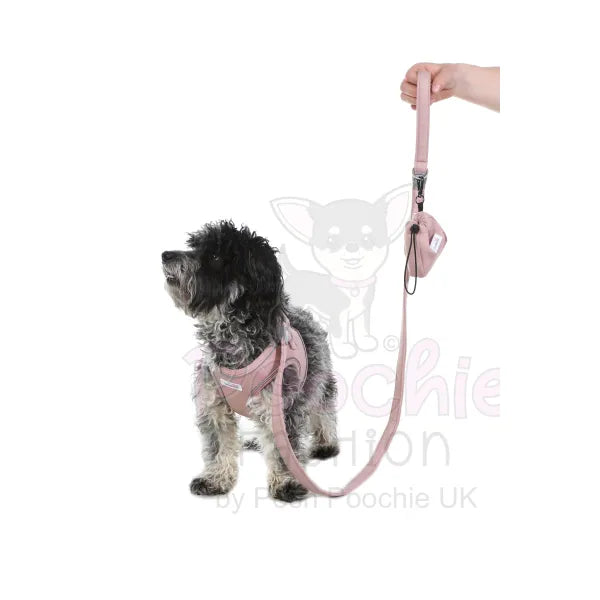 Doodlebone Dinky Dog Treat Pouch Chalky Pink - Doodlebone - 2